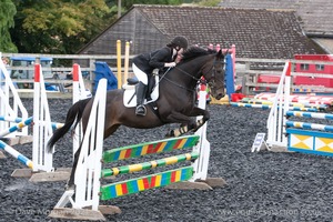 Class 6 - Fences not above 2'9